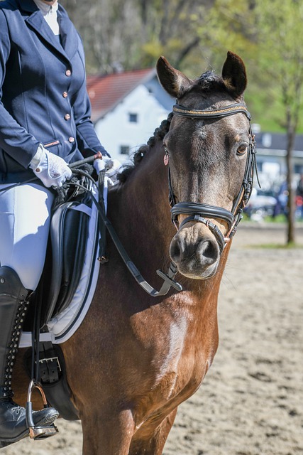 C罗赢得了 C罗赢得了