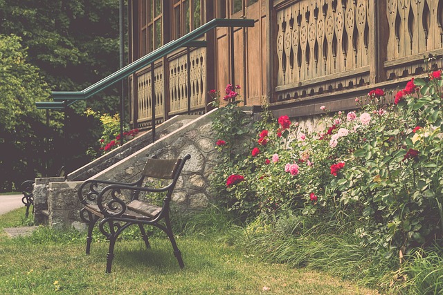 乓球爱好者 乓球爱好者