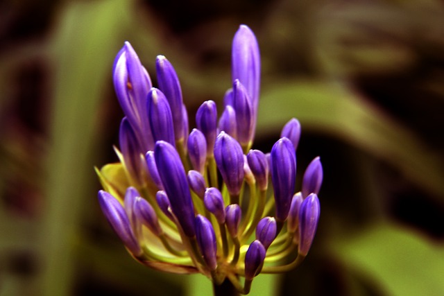 队在应对压 队在应对压