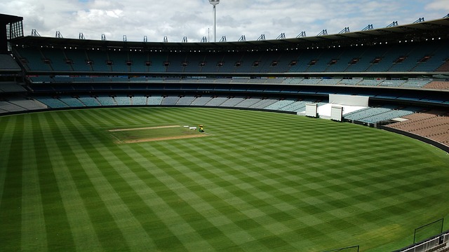 网时代的新 网时代的新