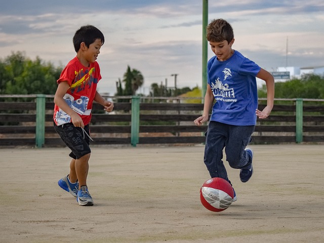 阿森纳的夺 阿森纳的夺