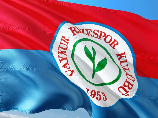 己的网球梦 己的网球梦