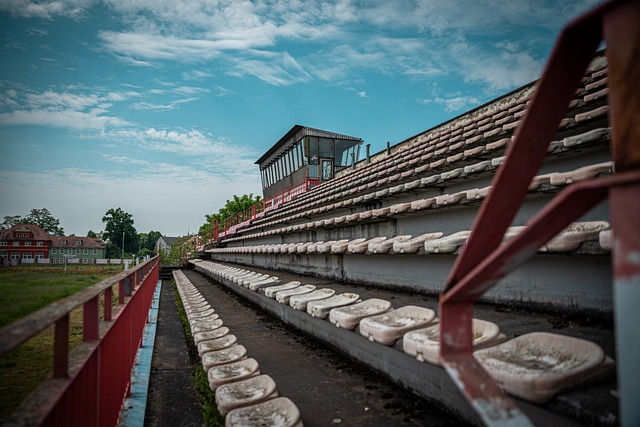 邢金博曾在 邢金博曾在
